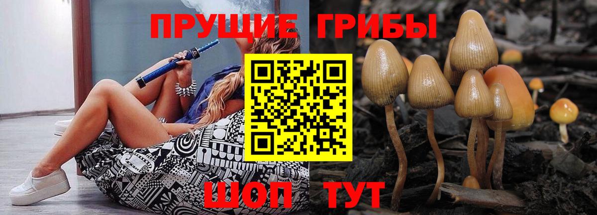 Псилоцибиновые грибы мицелий Балаково